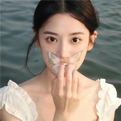 风骚律师第六季