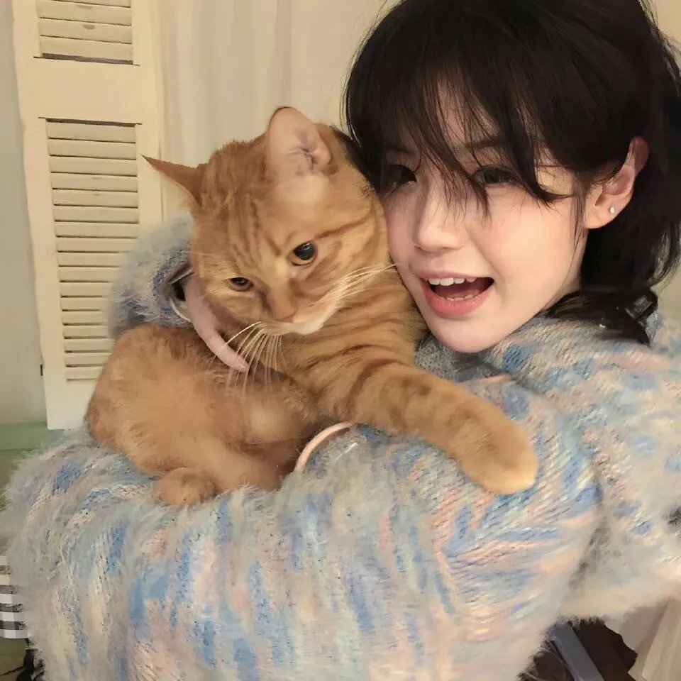 太子要吃鱼，谁把丞相族谱送来了